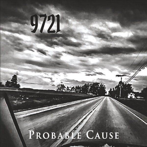 Cover art for Probable Cause